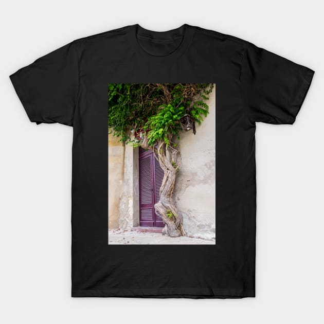 St Emilion Doorway T-Shirt by RosNapier